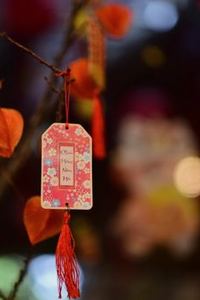  Nền tảng được yêu thích 